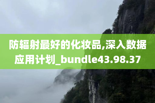 防辐射最好的化妆品,深入数据应用计划_bundle43.98.37