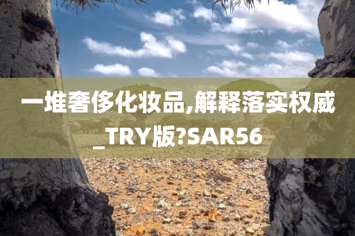 一堆奢侈化妆品,解释落实权威_TRY版?SAR56