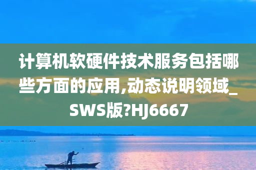 计算机软硬件技术服务包括哪些方面的应用,动态说明领域_SWS版?HJ6667