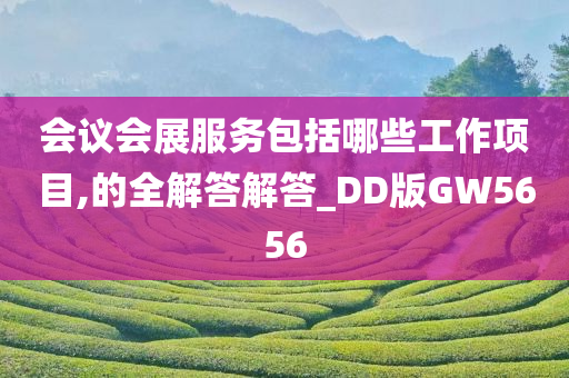 会议会展服务包括哪些工作项目,的全解答解答_DD版GW5656