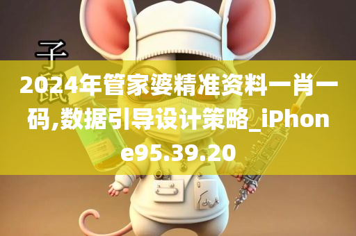 2024年管家婆精准资料一肖一码,数据引导设计策略_iPhone95.39.20