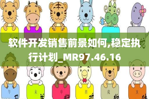 软件开发销售前景如何,稳定执行计划_MR97.46.16