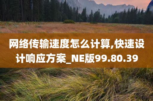 网络传输速度怎么计算,快速设计响应方案_NE版99.80.39