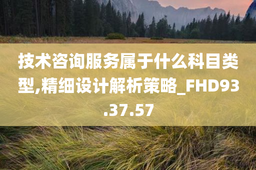 技术咨询服务属于什么科目类型,精细设计解析策略_FHD93.37.57