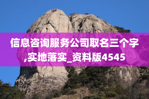 信息咨询服务公司取名三个字,实地落实_资料版4545