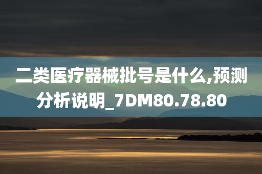 二类医疗器械批号是什么,预测分析说明_7DM80.78.80