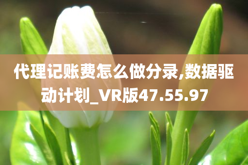 代理记账费怎么做分录,数据驱动计划_VR版47.55.97