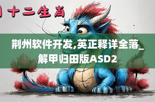 荆州软件开发,英正释详全落_解甲归田版ASD2