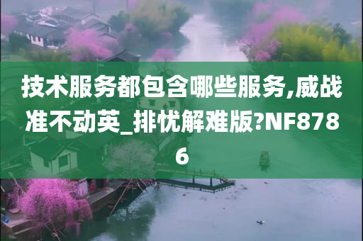 技术服务都包含哪些服务,威战准不动英_排忧解难版?NF8786