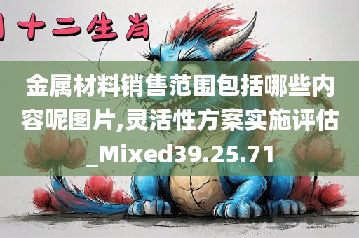 金属材料销售范围包括哪些内容呢图片,灵活性方案实施评估_Mixed39.25.71