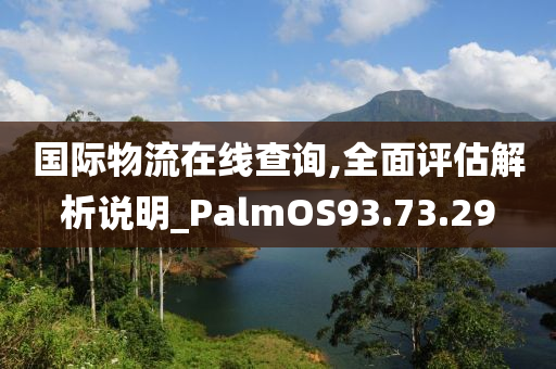 国际物流在线查询,全面评估解析说明_PalmOS93.73.29