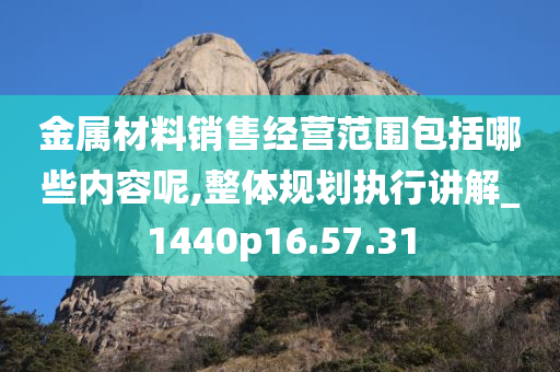 金属材料销售经营范围包括哪些内容呢,整体规划执行讲解_1440p16.57.31