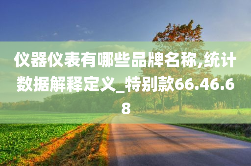 仪器仪表有哪些品牌名称,统计数据解释定义_特别款66.46.68