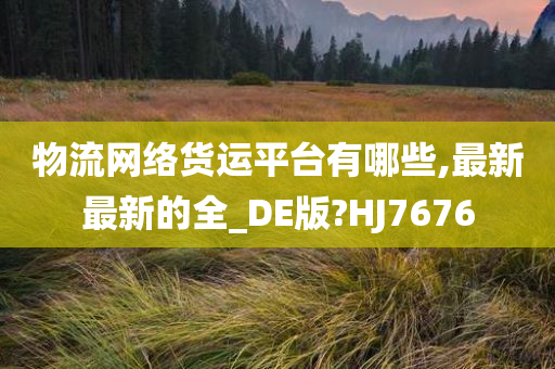 物流网络货运平台有哪些,最新最新的全_DE版?HJ7676