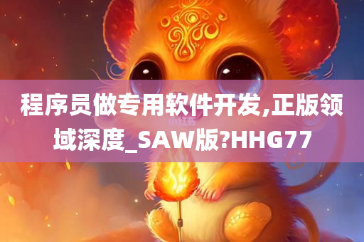 程序员做专用软件开发,正版领域深度_SAW版?HHG77