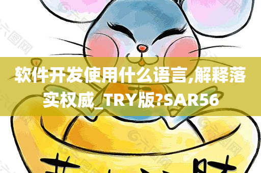 软件开发使用什么语言,解释落实权威_TRY版?SAR56