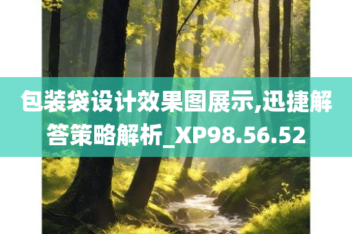 包装袋设计效果图展示,迅捷解答策略解析_XP98.56.52