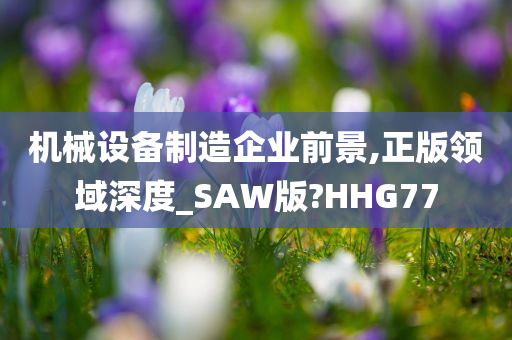 机械设备制造企业前景,正版领域深度_SAW版?HHG77