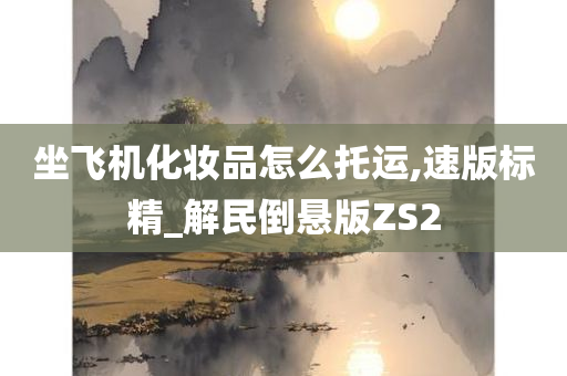 坐飞机化妆品怎么托运,速版标精_解民倒悬版ZS2