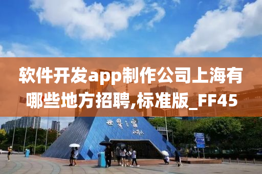 软件开发app制作公司上海有哪些地方招聘,标准版_FF45