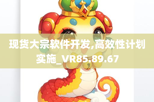 现货大宗软件开发,高效性计划实施_VR85.89.67