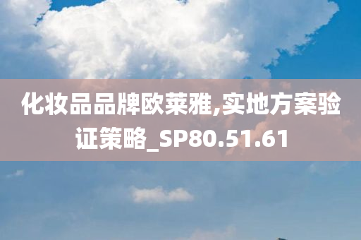 化妆品品牌欧莱雅,实地方案验证策略_SP80.51.61