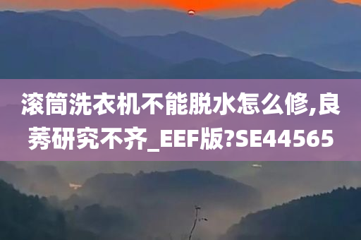 滚筒洗衣机不能脱水怎么修,良莠研究不齐_EEF版?SE44565