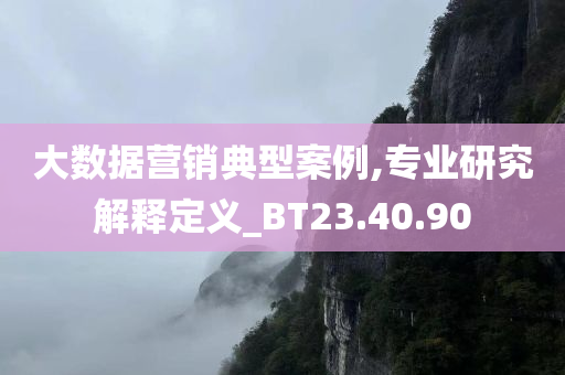 大数据营销典型案例,专业研究解释定义_BT23.40.90