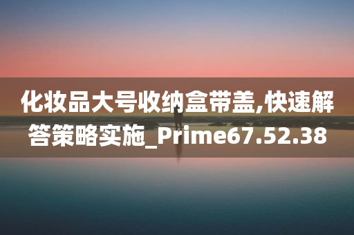 化妆品大号收纳盒带盖,快速解答策略实施_Prime67.52.38