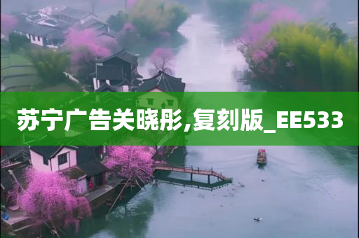 苏宁广告关晓彤,复刻版_EE533