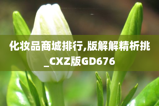 化妆品商城排行,版解解精析挑_CXZ版GD676