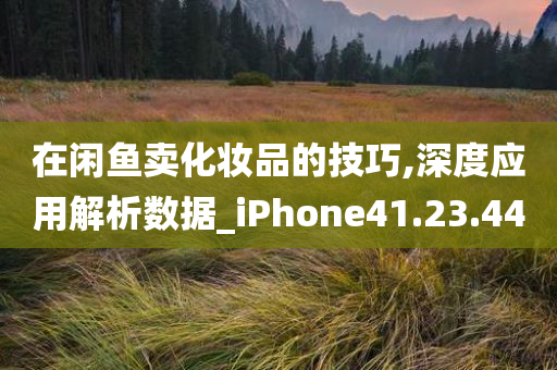 在闲鱼卖化妆品的技巧,深度应用解析数据_iPhone41.23.44