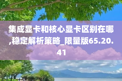 集成显卡和核心显卡区别在哪,稳定解析策略_限量版65.20.41