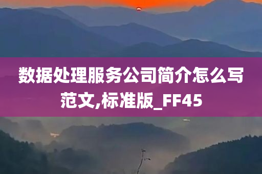 数据处理服务公司简介怎么写范文,标准版_FF45