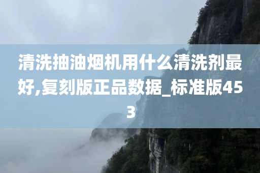 清洗抽油烟机用什么清洗剂最好,复刻版正品数据_标准版453