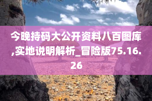 今晚持码大公开资料八百图库,实地说明解析_冒险版75.16.26