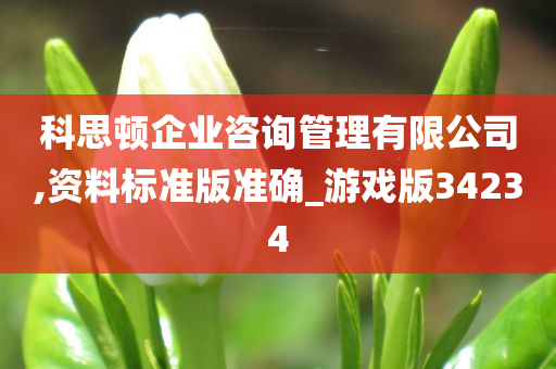 科思顿企业咨询管理有限公司,资料标准版准确_游戏版34234