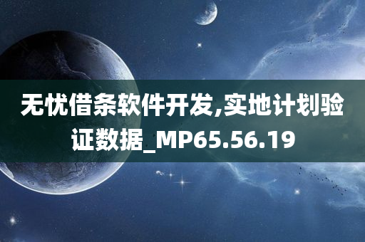 无忧借条软件开发,实地计划验证数据_MP65.56.19