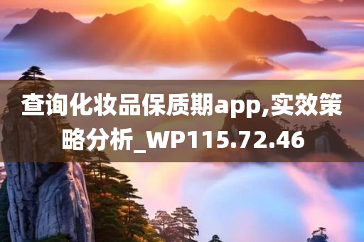 查询化妆品保质期app,实效策略分析_WP115.72.46