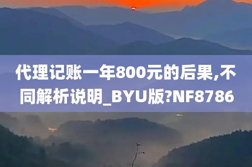 代理记账一年800元的后果,不同解析说明_BYU版?NF8786