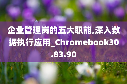 企业管理岗的五大职能,深入数据执行应用_Chromebook30.83.90