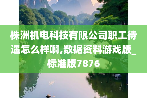 株洲机电科技有限公司职工待遇怎么样啊,数据资料游戏版_标准版7876