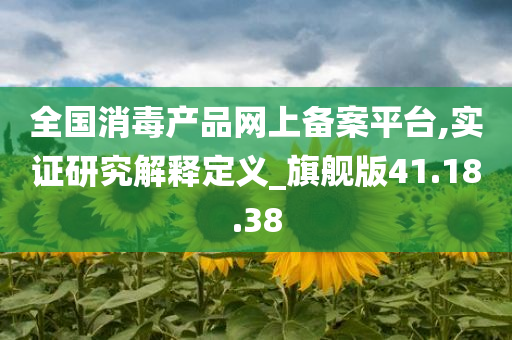 全国消毒产品网上备案平台,实证研究解释定义_旗舰版41.18.38