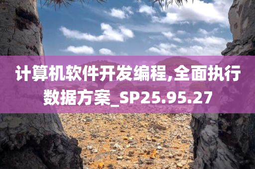 计算机软件开发编程,全面执行数据方案_SP25.95.27