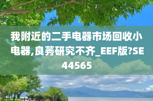 我附近的二手电器市场回收小电器,良莠研究不齐_EEF版?SE44565