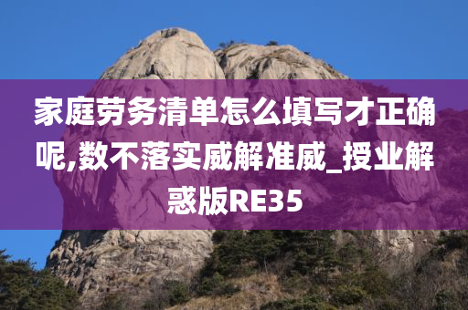 家庭劳务清单怎么填写才正确呢,数不落实威解准威_授业解惑版RE35