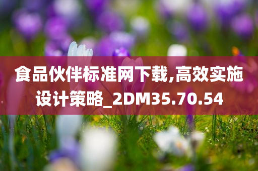 食品伙伴标准网下载,高效实施设计策略_2DM35.70.54