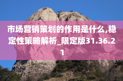 市场营销策划的作用是什么,稳定性策略解析_限定版31.36.21