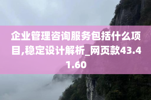 企业管理咨询服务包括什么项目,稳定设计解析_网页款43.41.60