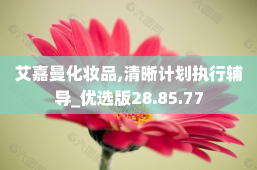 艾嘉曼化妆品,清晰计划执行辅导_优选版28.85.77